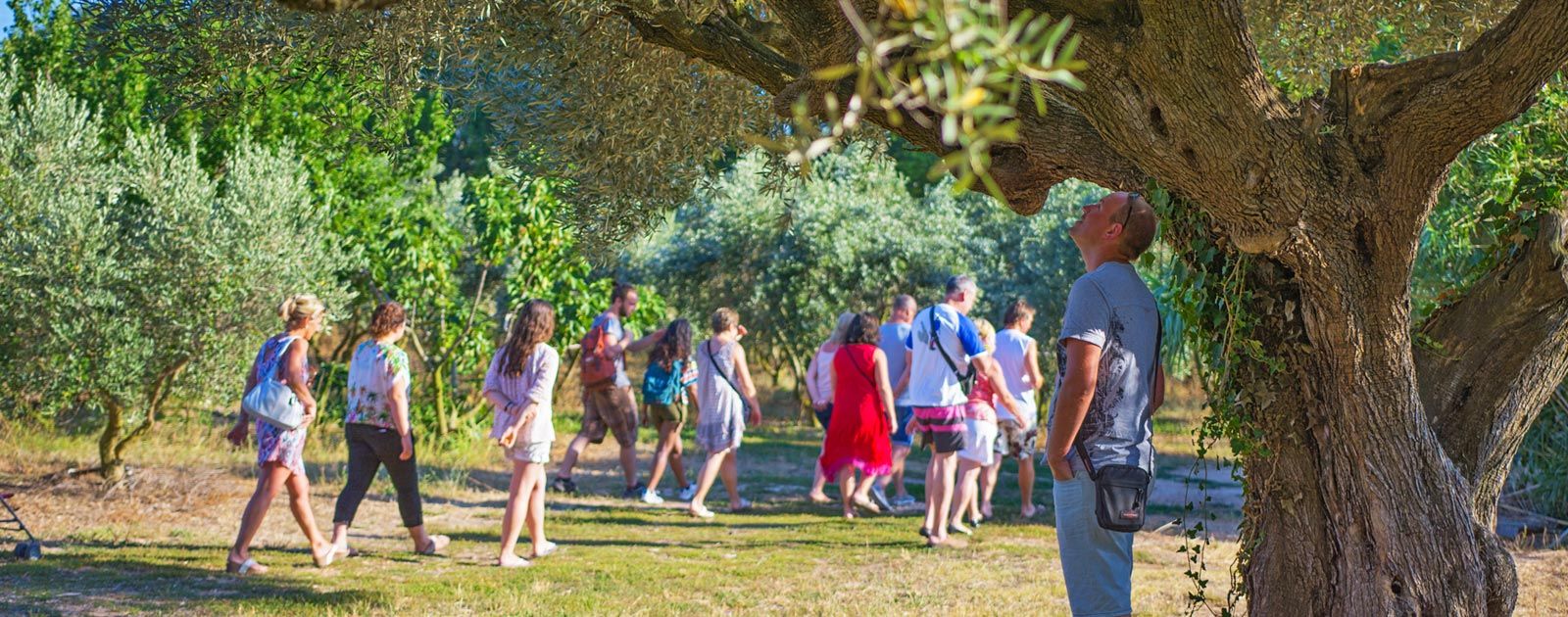 Découvrez les trésors du parc de Port Cros grâce au camping Lou Pantaï